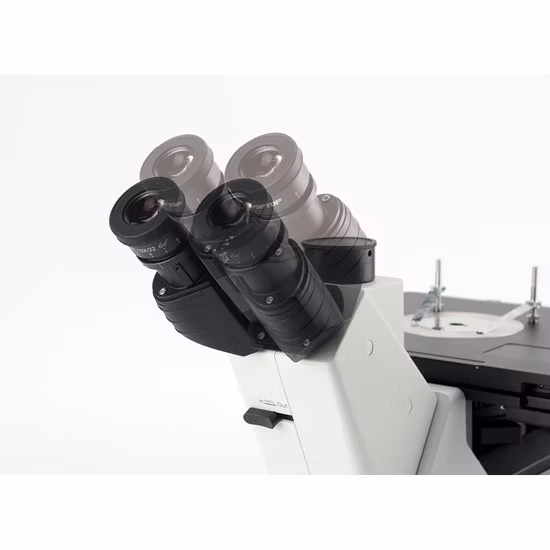 Bestscope stronzate