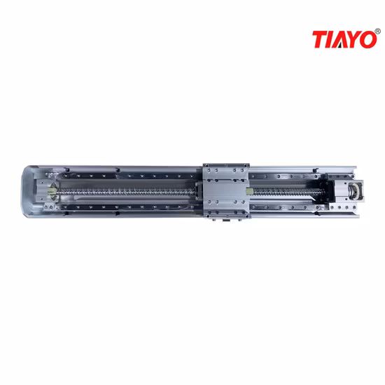 Fase di scorrimento del modulo lineare con vite a ricircolo di sfere su guida Hiwin con certificato Ce