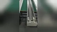 Fase di movimento lineare con azionamento a vite a ricircolo di sfere con certificazione CE RoHS